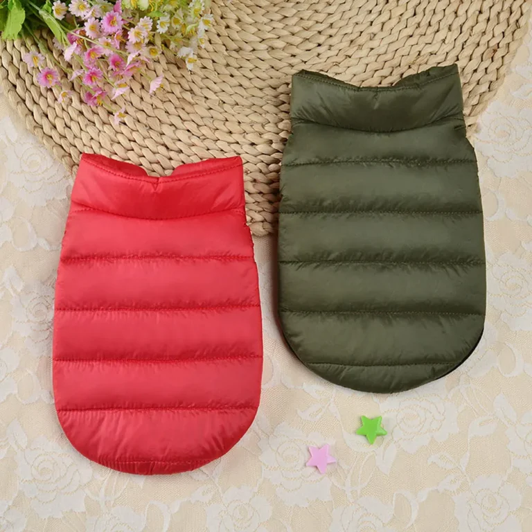 Manteau de neige pour chien vert 3