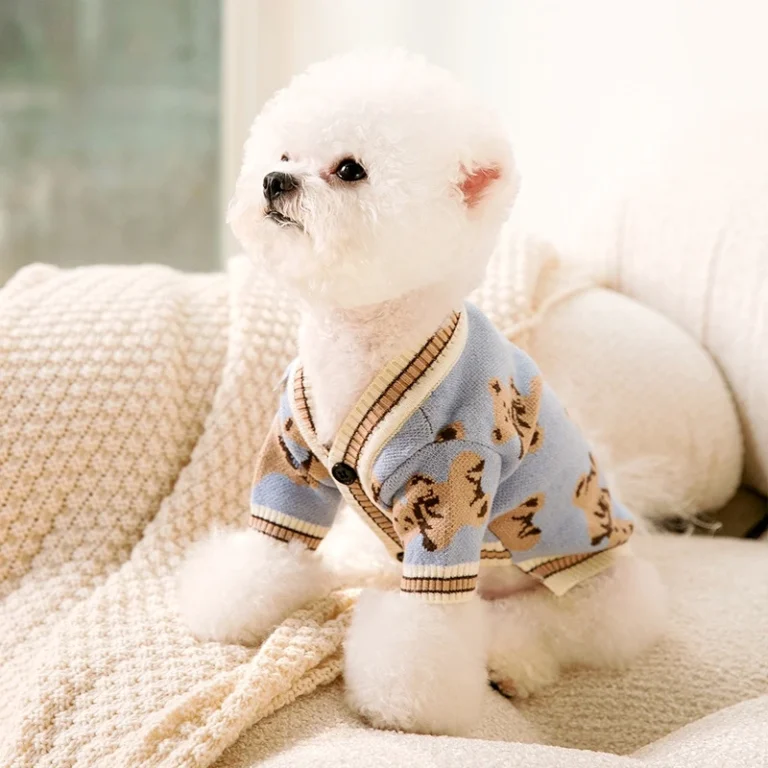 Pull pour chien design ours 26