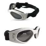 Lunette de soleil pour chien 5