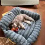 Canapé lit relaxant pour chien 3