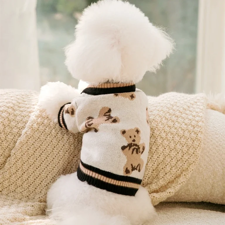 Pull pour chien design ours 28