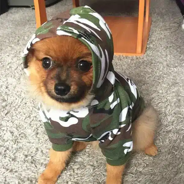 Pull pour chien Militaire 1