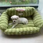 Canapé lit relaxant pour chien 31