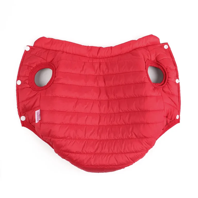 Manteau de neige pour chien vert 5