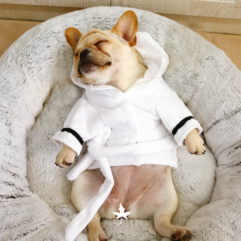 Peignoir pour petit chien 2