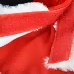 Déguisement pere noel chihuahua 4