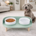 ChatGPT Image 28 févr. 2026, 15_37_45