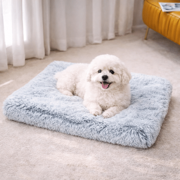Tapis pour chien déhoussable
