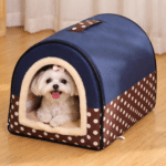 ChatGPT Image 8 mars 2026, 15_14_10