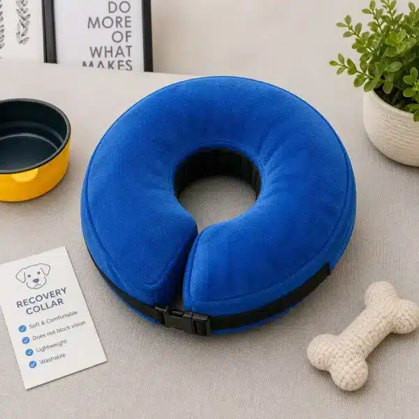 Collerette pour chien gonflable