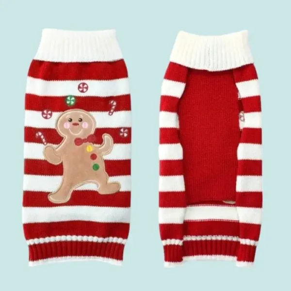 Deguisement noel chihuahua