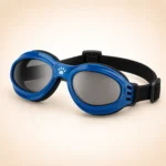Lunette de soleil pour chien