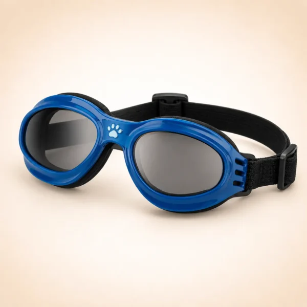 Lunette de soleil pour chien