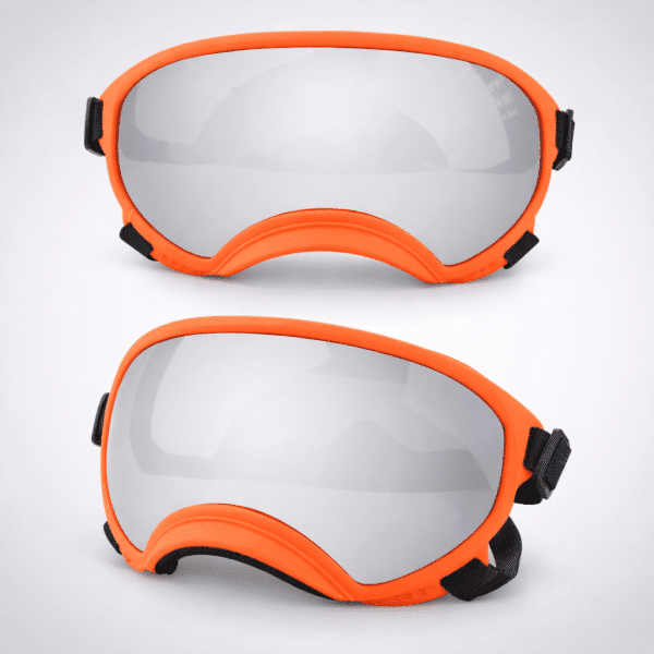 Lunette moto pour chien