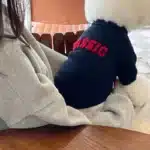 Sweats à capuche pour animaux de compagnie avec lettre, pull pour chien, manteau chaud pour chiot, vêtements pour animaux de compagnie, bouledogue français, chemise pull, mode d'hiver 2