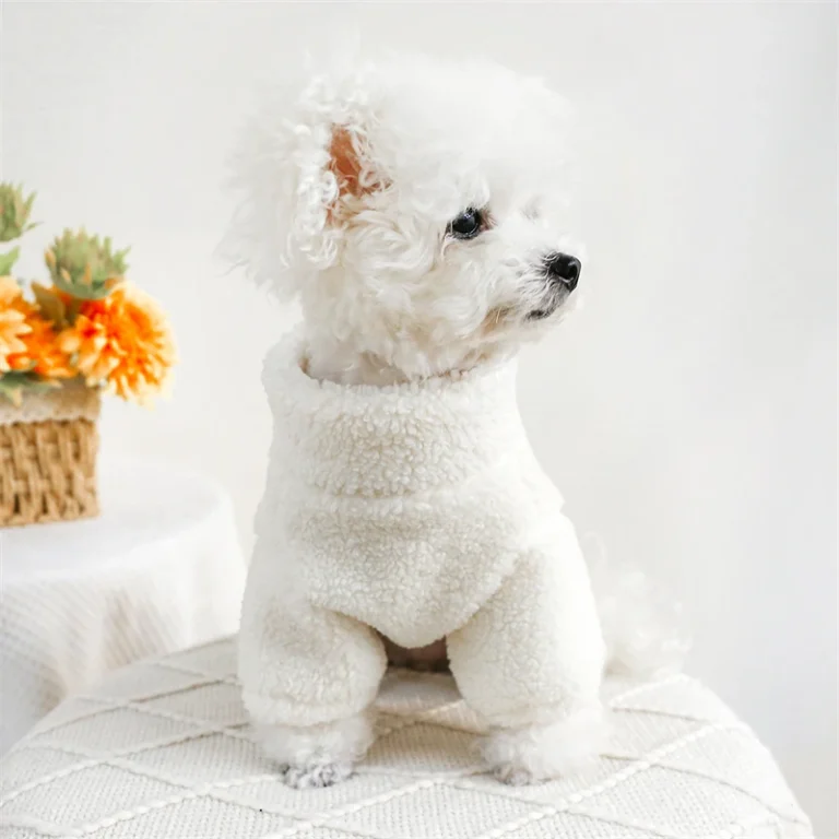 Sweat-shirt d'hiver moelleux avec lettres modernes pour bouledogue français, manteau pour chien York, vent vert, chat, optique respirante, sourire, nouvel an 6