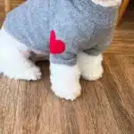 Vêtements pour petits chiens, sweats à capuche chauds d'hiver, vêtements pour chiots, vêtements pour chiens, teckel, vêtements pour chiots, fournitures pour chiens 3