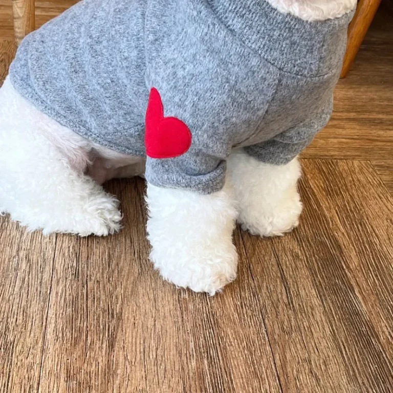 Vêtements pour petits chiens, sweats à capuche chauds d'hiver, vêtements pour chiots, vêtements pour chiens, teckel, vêtements pour chiots, fournitures pour chiens 3