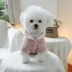 Sweat à capuche patchwork en peluche d'agneau pour animaux de compagnie, vêtements pour chats, rose et blanc, adapté aux chiens de petite et moyenne taille, automne et hiver, 1PC 5