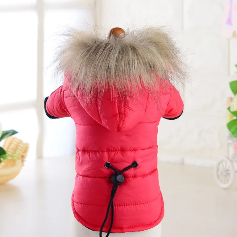 Manteau coupe vent 2