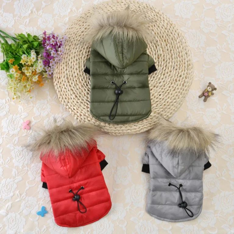 Manteau coupe vent