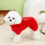 Vêtements en velours pour animaux de compagnie, manteau en coton doux, veste pour chiot, vêtements pour animaux de compagnie, nuage, bichon, nounours, chat, automne, hiver 10