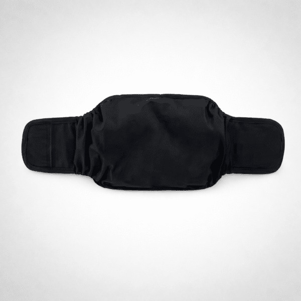 Culotte pour chien règle