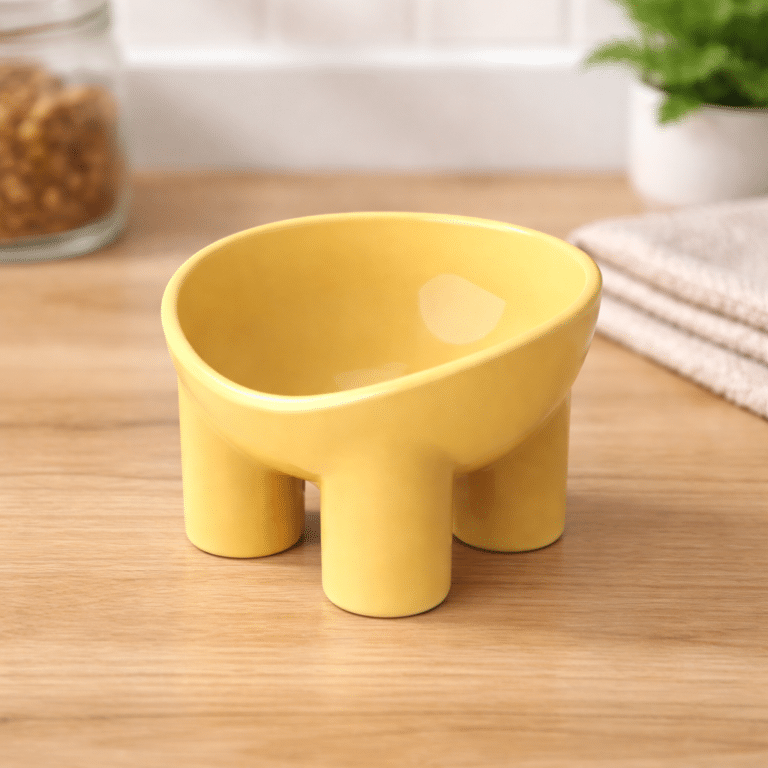 ChatGPT Image 16 févr. 2026, 15_32_59