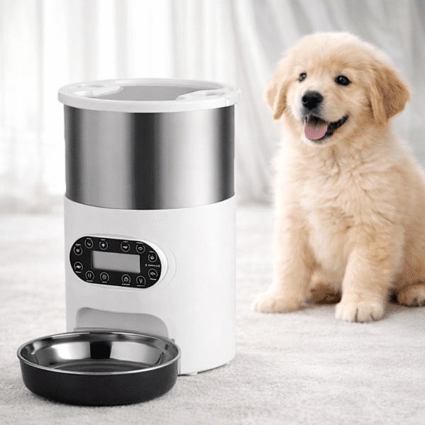 Distributeur de croquette pour chien