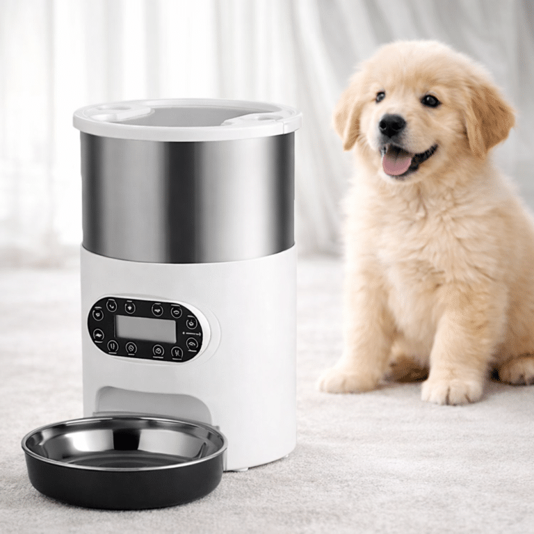 ChatGPT Image 28 févr. 2026, 15_16_00