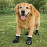 ChatGPT Image 9 janv. 2026, 14_44_03