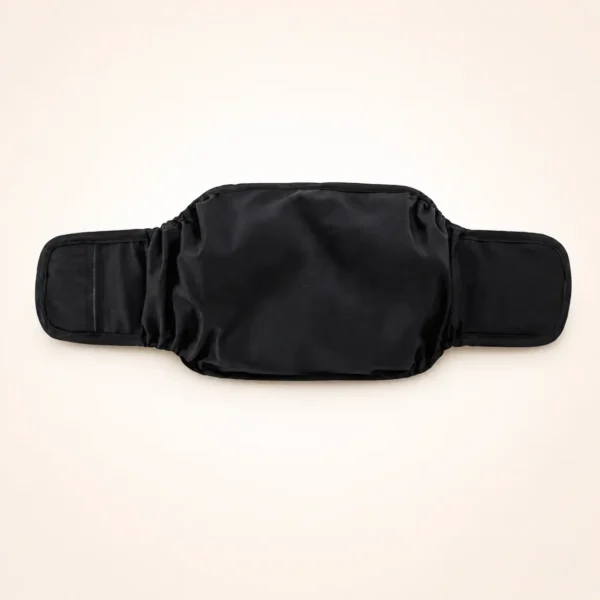 Culotte pour chien règle