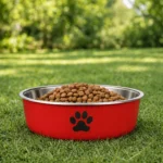 Gamelle chien inox Rouge