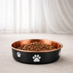 Gamelle chien inox cuivre
