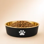 Gamelle chien inox doré