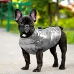 Vêtements imperméables pour petits chiens, veste pour animaux de compagnie, manteau chaud pour chihuahua, bouledogue français, chiots, hiver 24