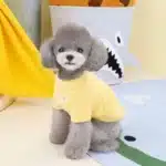 Pull chaud pour petits chien 7