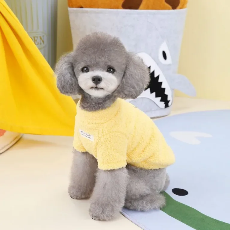 Pull chaud pour petits chien 7