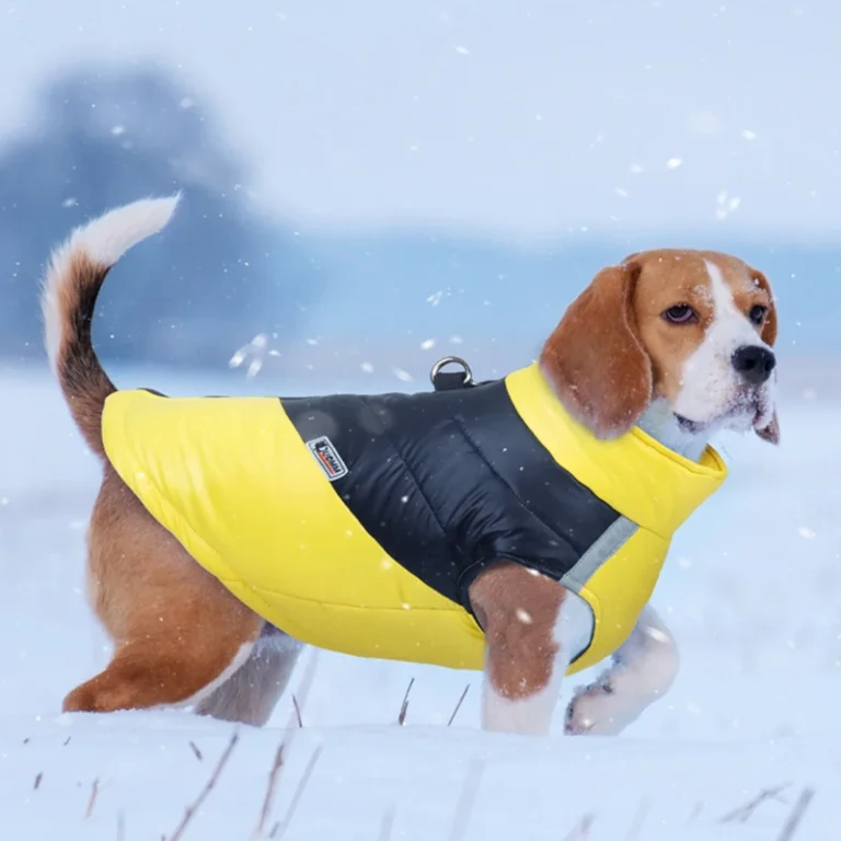 Veste imperméable pour chien, manteau de bouledogue français, glaçure chaude, olympiques de chiot, vêtements d'hiver de luxe, petits et grands chiens, chihuahua 17