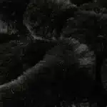 Lits pour grands chiens et petites étudiés, fournitures pour animaux de compagnie, panier, paniers moyens, accessoires pour chiots, grands coussins, literie 2