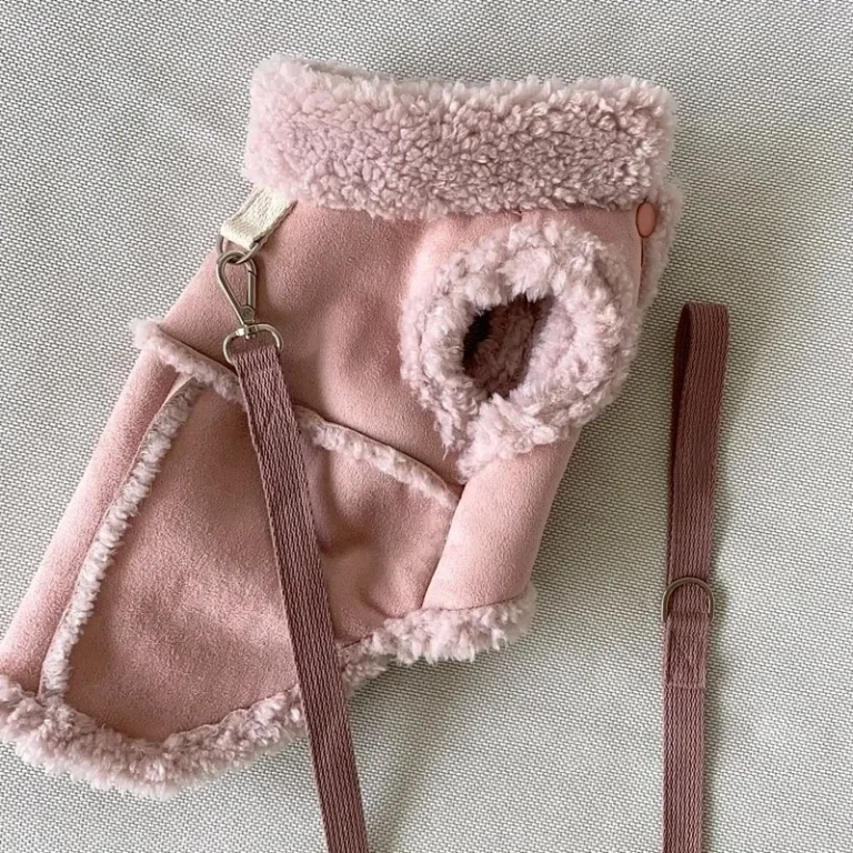 Vêtements de luxe doux pour animaux de compagnie, robes moyennes, manteau mignon, accessoires pour petits chiens, chihuahua, designer, hiver 4