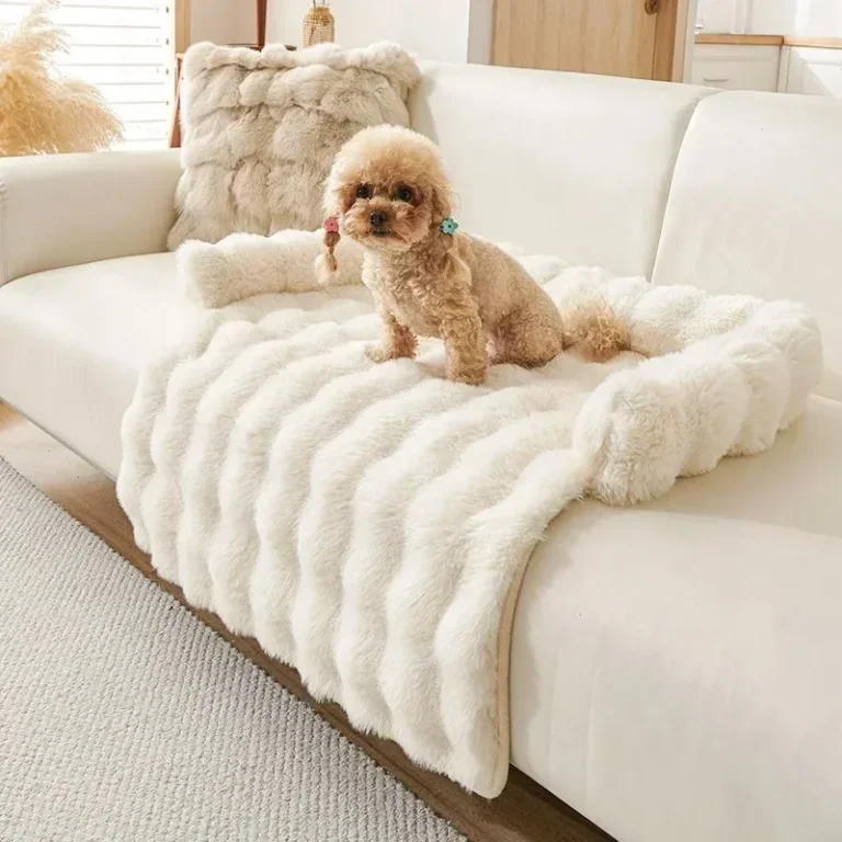 Lits pour grands chiens et petites étudiés, fournitures pour animaux de compagnie, panier, paniers moyens, accessoires pour chiots, grands coussins, literie 6