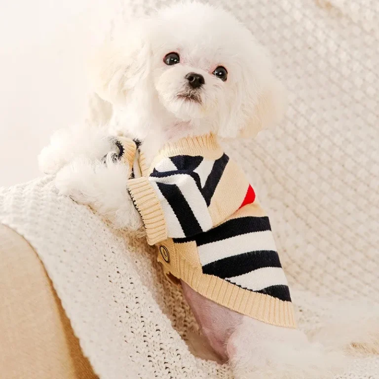 Cardigan à rayures hautes pour animaux de compagnie, vêtements pour chiens, pull chaud, manteau doux pour chihuahua, vêtements à la mode pour chaton, hiver 3