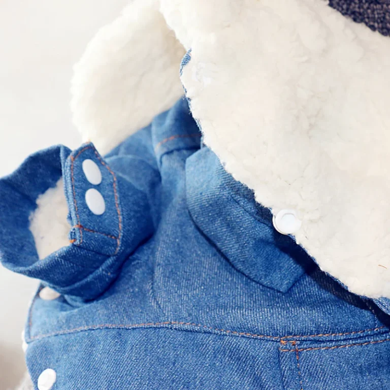 Veste d'hiver en jean pour chien, vêtements pour chiots, tenues pour animaux de compagnie, manteau en denim, costume pour Chihuahua, vêtements pour chiots, 30 4