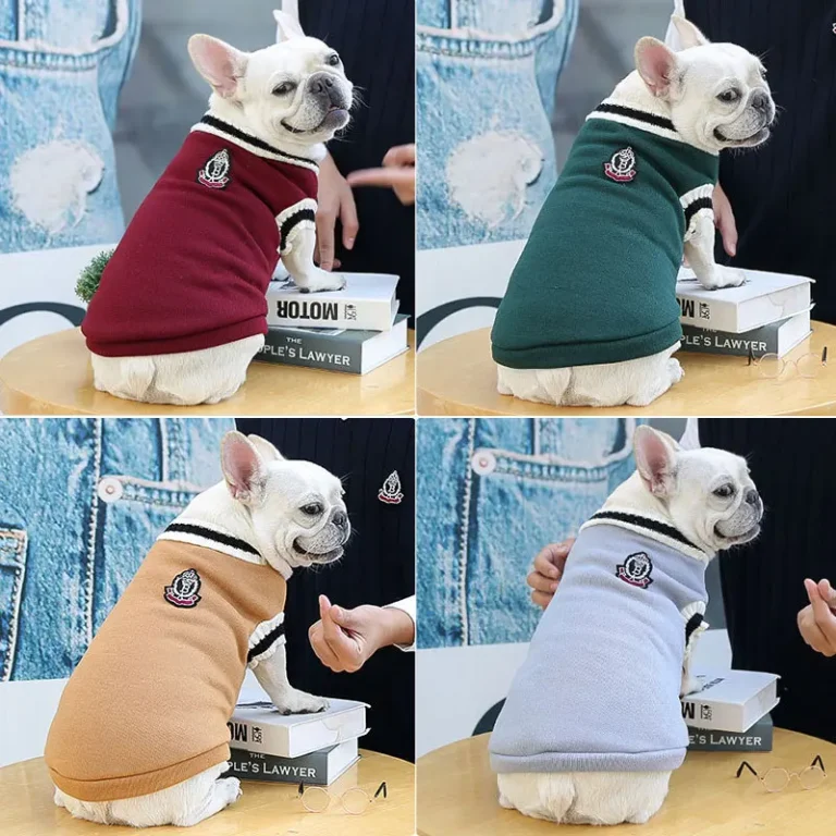Vêtements chauds pour chiens, petit, moyen, Style collégien, pull pour chien, chiot, chat, Chihuahua, bouledogue français, yorkshire 2