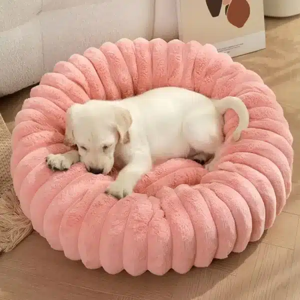 Lit pour animaux de compagnie pour chats, produits pour animaux de compagnie, fournitures pour chiots, accessoires de lit, maisons et o'ats, coussins, polymère pour chien, panier pour chaton, toutes choses 20