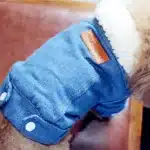 Veste d'hiver en jean pour chien, vêtements pour chiots, tenues pour animaux de compagnie, manteau en denim, costume pour Chihuahua, vêtements pour chiots, 30 2
