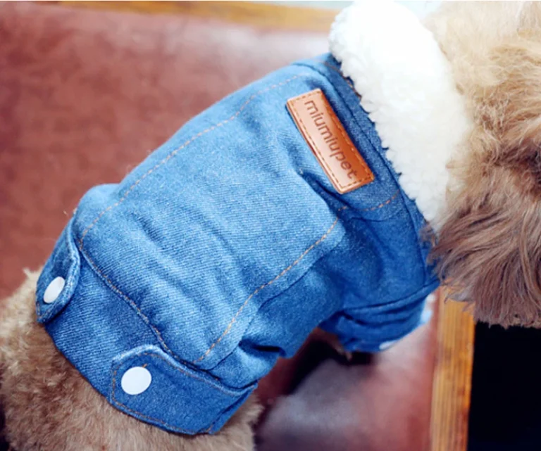 Veste d'hiver en jean pour chien, vêtements pour chiots, tenues pour animaux de compagnie, manteau en denim, costume pour Chihuahua, vêtements pour chiots, 30 2