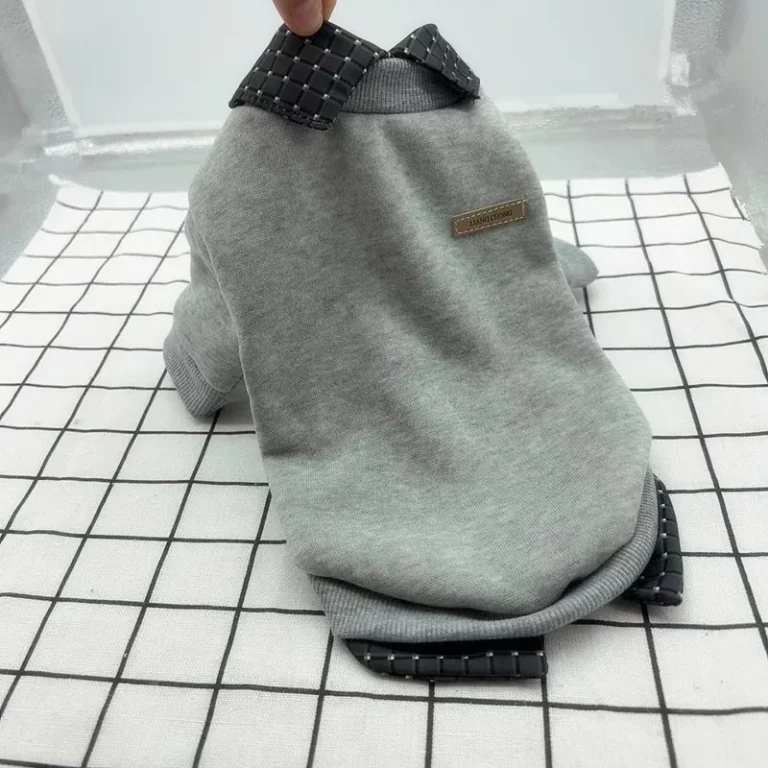 Chemise d'hiver pour animaux de compagnie, veste à capuche pour petits chiens, tenue polo, vêtements pour animaux de compagnie, manteau Chihuahua 2