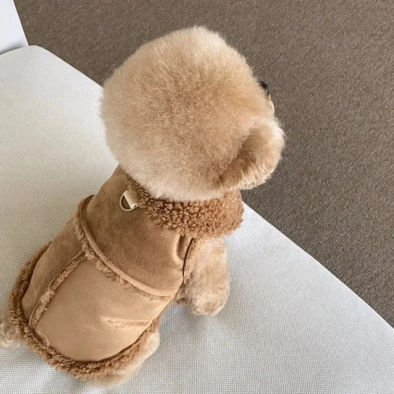 Vêtements de luxe doux pour animaux de compagnie, robes moyennes, manteau mignon, accessoires pour petits chiens, chihuahua, designer, hiver 3